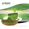 Green Wheat Barley Grass juice extract powder